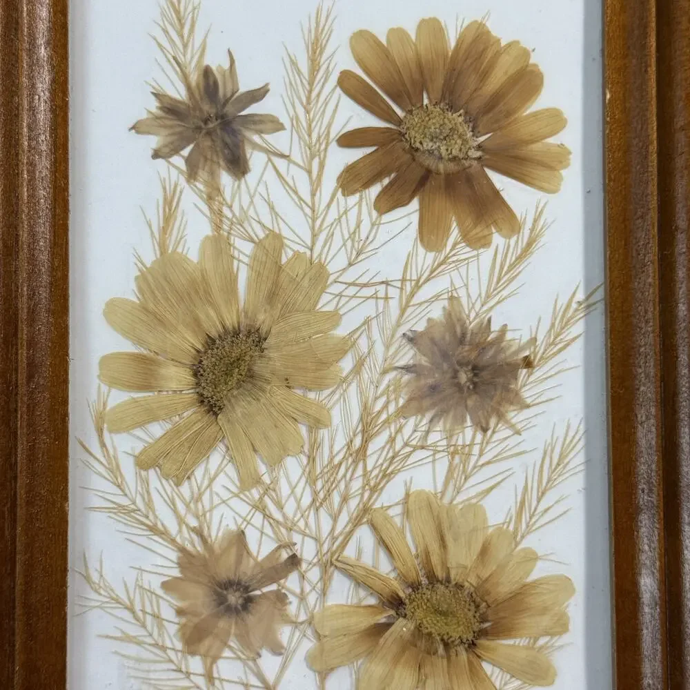 Vintage Pressed Flower Art Wood Picture Frame Floral Botanical Decor 7x9 Display